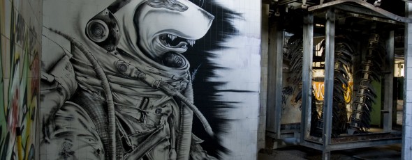 spacedog metropoliz